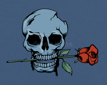 诱人的女孩咬红玫瑰花瓣孤立在白色, 情人节概念玫瑰和骷髅头骷髅