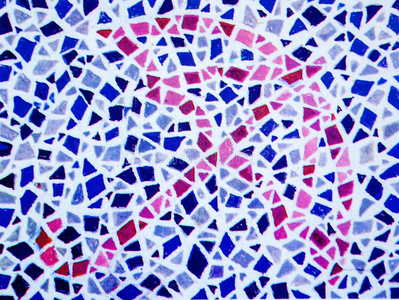 第三色盲 第三原色盲 黄蓝色盲红色绿色盲测试号8色盲测试-7老虎,色盲