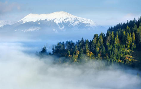 山坡秋林