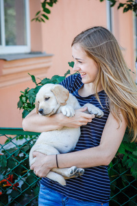 女人保持白色的拉布拉多犬