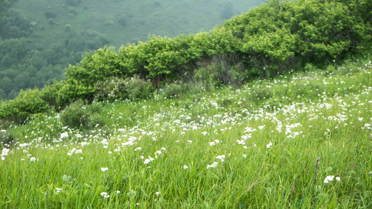 中国河北龙登山野营的意见