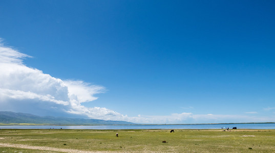 清海湖中国景观的