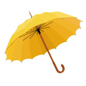 打开的伞图片