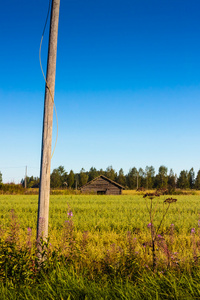 电话杆和一个旧谷仓