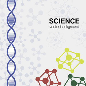 矢量图和科学元素背景