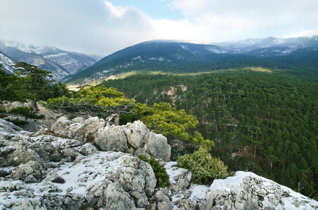 在克里米亚山