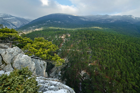 在克里米亚山