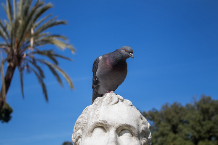 雕像和一只鸽子