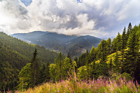 美丽的野生山景观在喀尔巴阡山脉，R