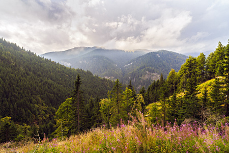 美丽的野生山景观在喀尔巴阡山脉，R