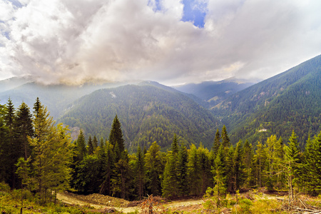 美丽的野生山景观在喀尔巴阡山脉，R