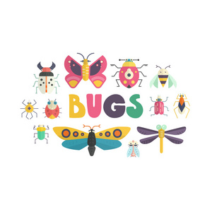 bug 和昆虫海报设计