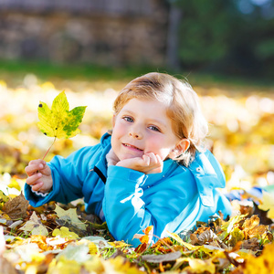 小小孩男孩与黄色的秋天叶子在公园里