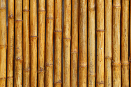 金色的竹篱笆背景