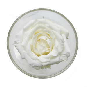 一个玻璃与一个大白色玫瑰花在白色背景