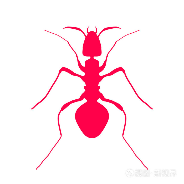 红色轮廓的蚂蚁,标志设计.矢量