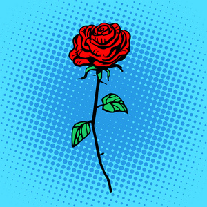 红玫瑰花茎带刺