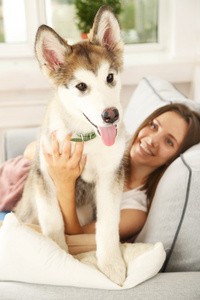 阿拉斯加雪橇犬狗在沙发上的女人