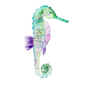 绿色海马的水彩插图