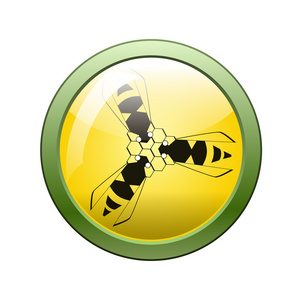 蜜蜂的图标和按钮