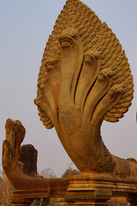 娜迦毒蛇眼镜蛇王 vasuk照片