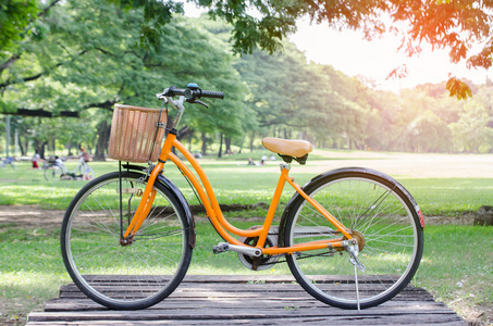 自行车在绿色公园