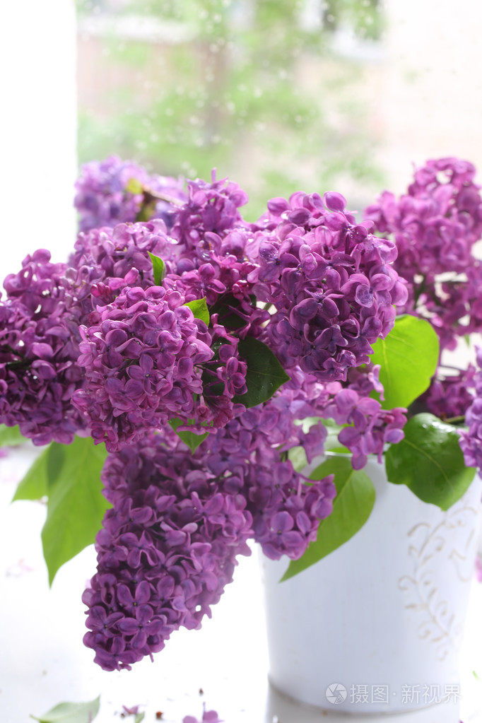 淡紫色花束在花瓶对窗口