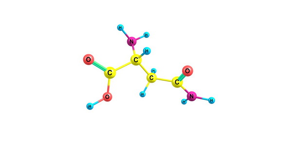 天冬酰胺分子上白色孤立