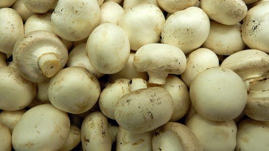 超市蘑菇在超市的货架框中新鲜 champignone 蘑菇照片