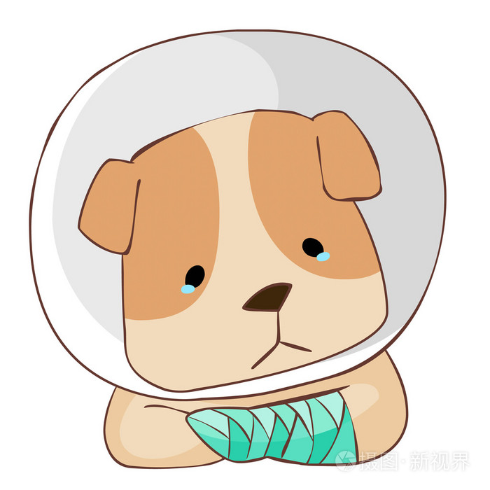 狗伤夹板腿矢量图