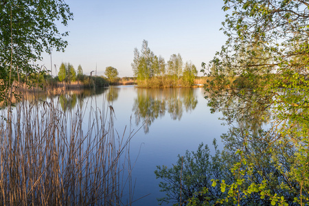 透过灌木丛的湖景