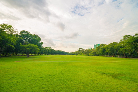 绿色的草坪上公园球场在曼谷