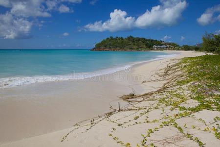 西印度群岛加勒比海安提瓜圣玛丽弗赖斯海滩