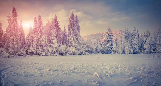 山上冬季日出的全景图。