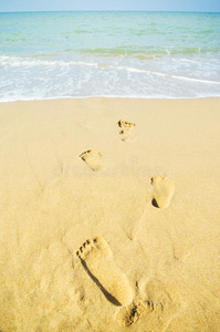 湿沙上的脚印