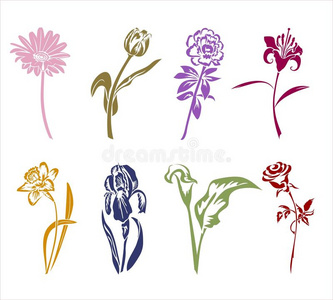 八朵花的剪影.照片