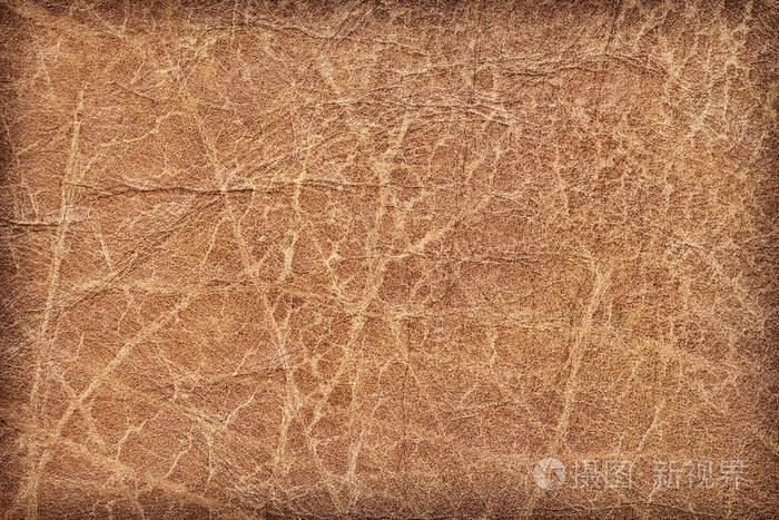老牛皮皱皱巴巴的 grunge 纹理样本-详细信息照片-正