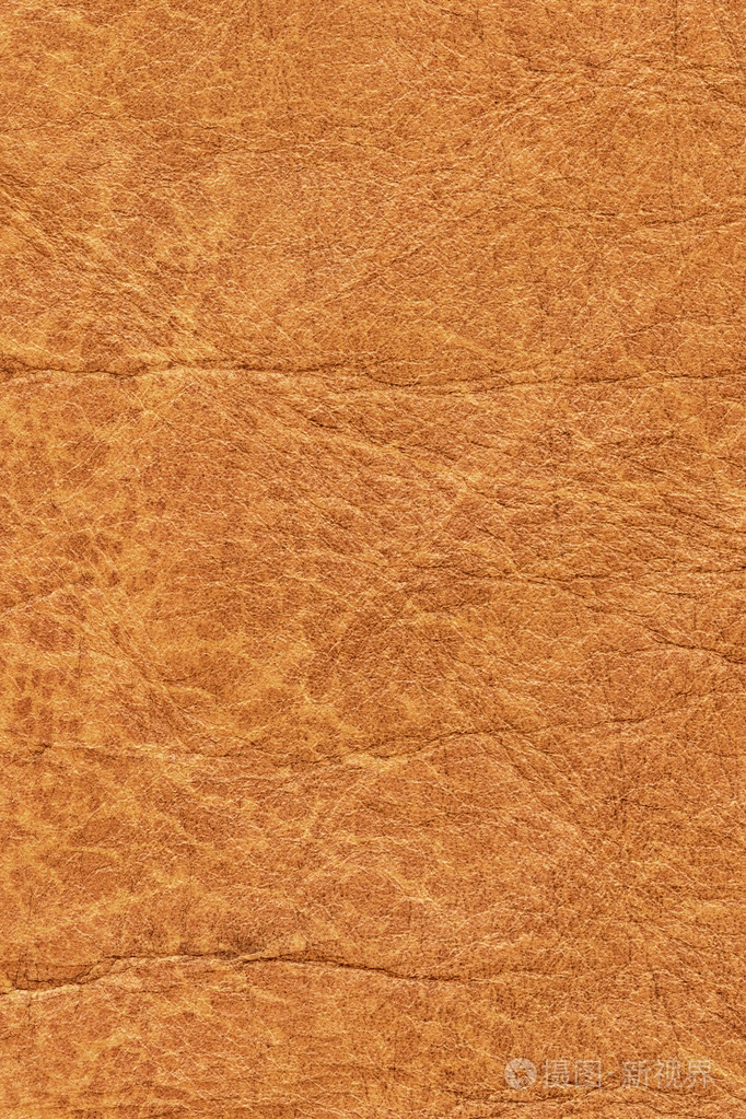 老牛皮皱皱巴巴的 grunge 纹理样本细节
