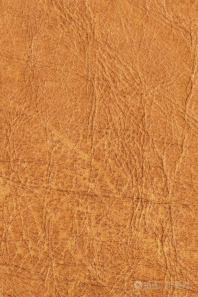 老牛皮皱皱巴巴的 grunge 纹理样本细节照片-正版商用