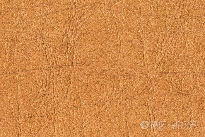 老牛皮皱皱巴巴的 grunge 纹理样本细节照片-正版商用