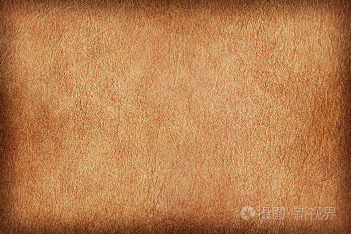 古色古香的动物皮肤羊皮纸 vignette grunge 纹理样本