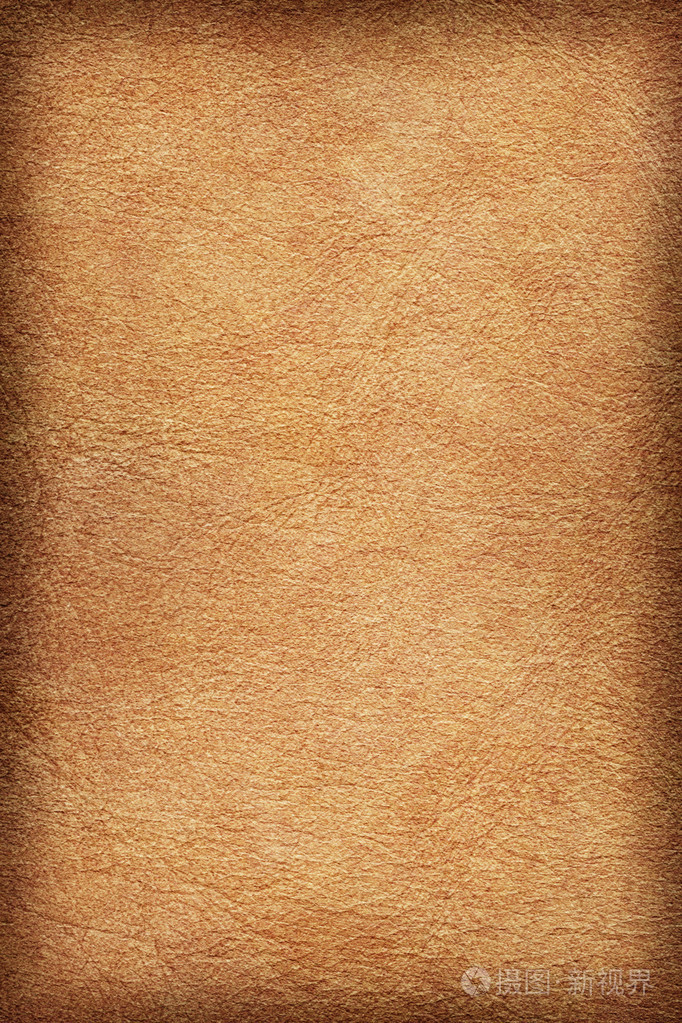 古色古香的动物皮肤羊皮纸 vignette grunge 纹理样本