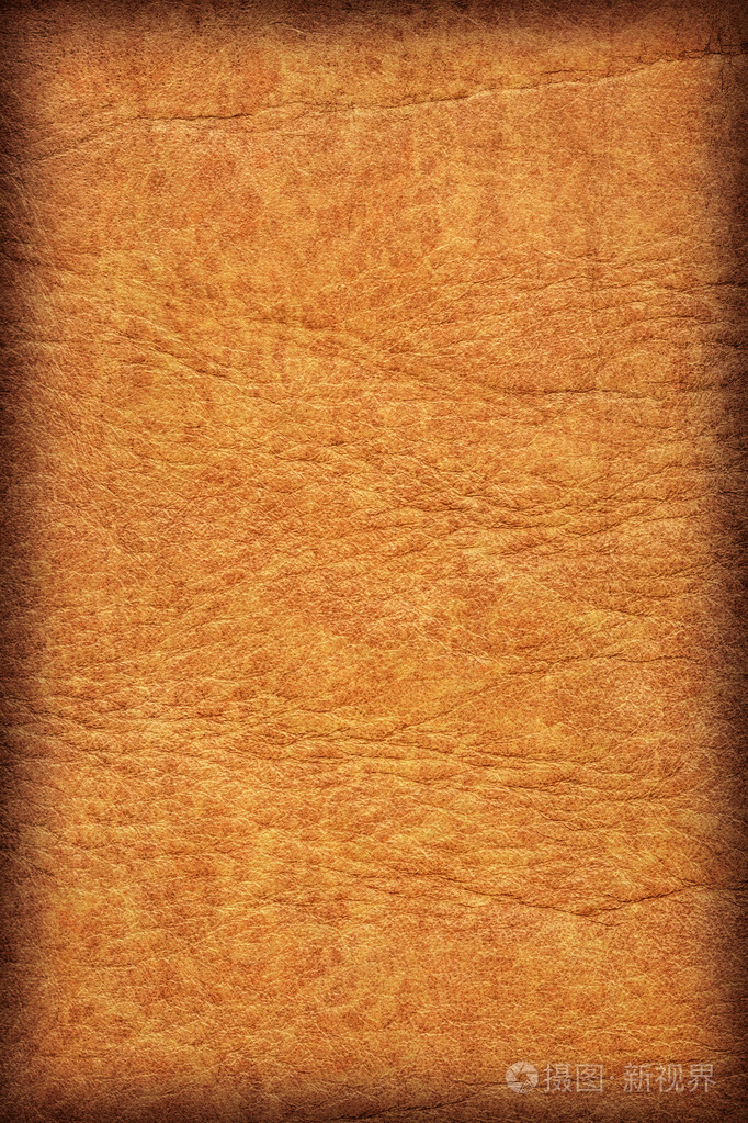 老牛皮皱皱巴巴的 grunge 纹理样本细节照片-正版商用