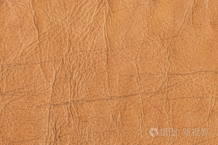 老牛皮皱皱巴巴的 grunge 纹理样本细节