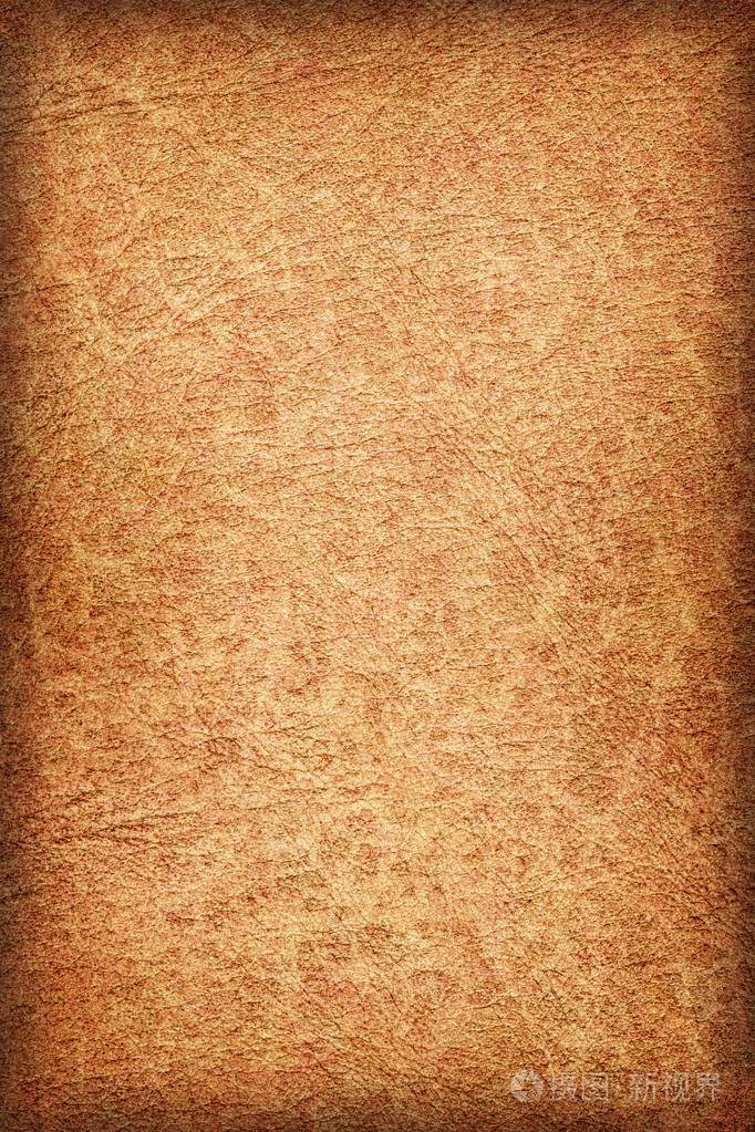 古色古香的动物皮肤羊皮纸 vignette grunge 纹理