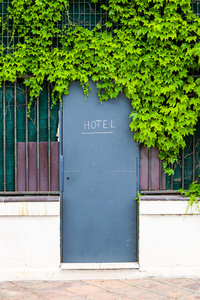 酒店大门栅栏与绿叶标志