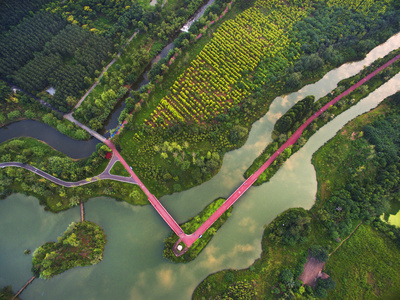 中国四川成都锦江区白鹭岛湿地