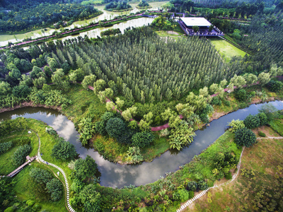 中国四川成都锦江区白鹭岛湿地