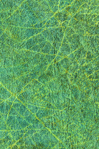 人工生态皮革玉绿色皱的纹理样本