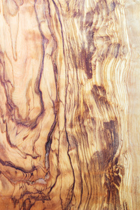 一棵橄榄树的木纹理